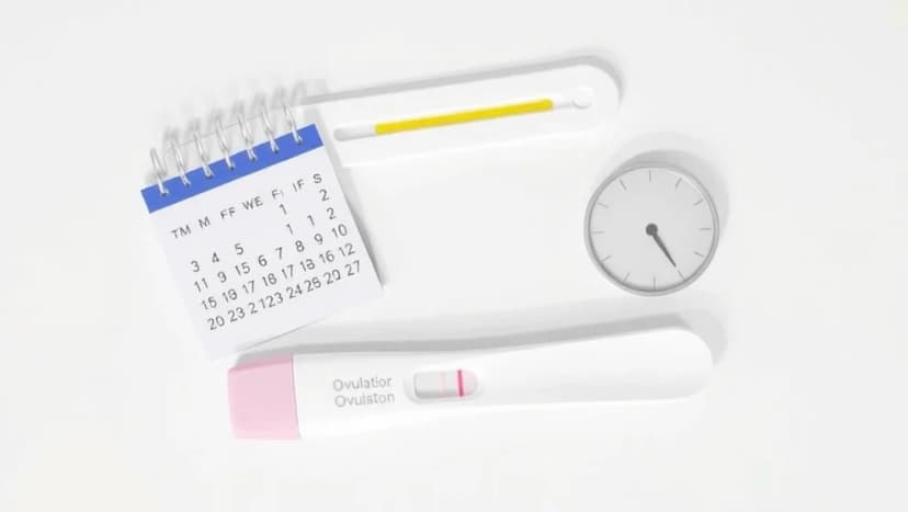 Glad gubbe på ägglossningstest när släpper ägget